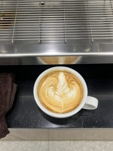 IMG_2139.jpeg