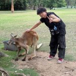 IMG_4945.jpeg