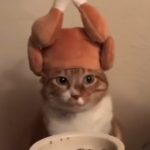 IMG_7376.jpeg