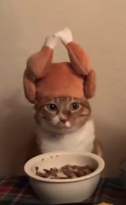 IMG_7376.jpeg